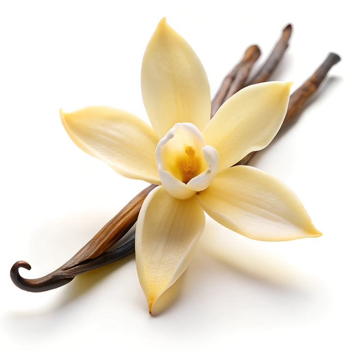 Coco Cashmere Body Butter