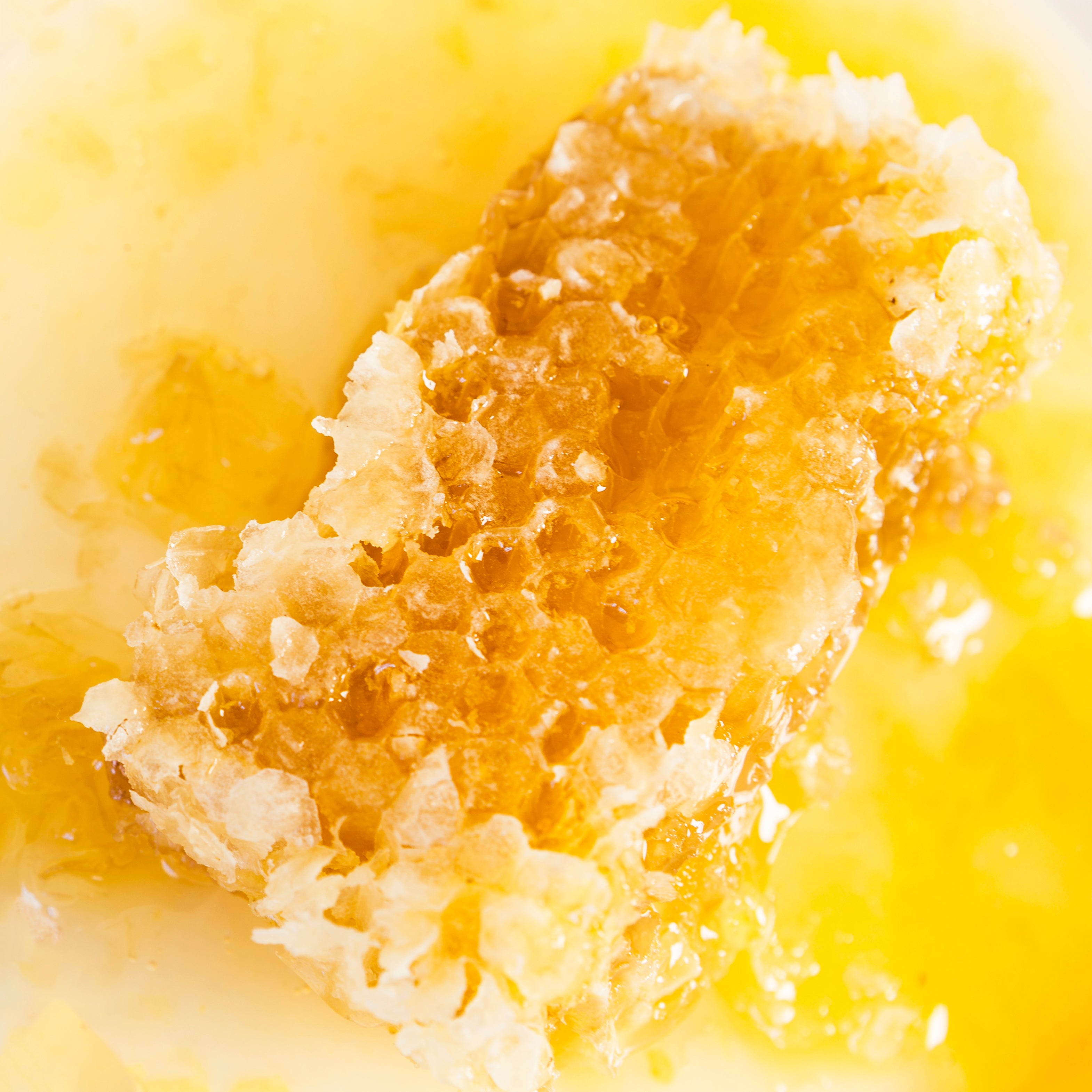 Sweet Vanilla Bee Body Butter